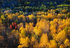 Fall_2010_9